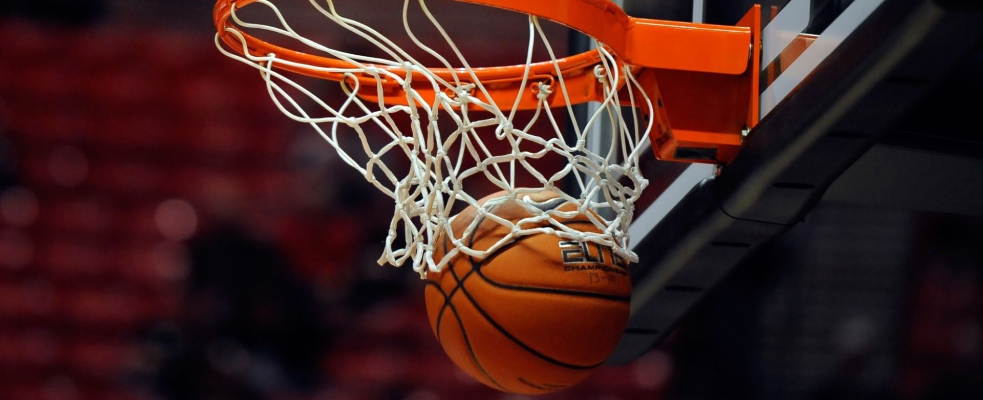 Basketball training near me ⭐ Find a basketball coach to improve your