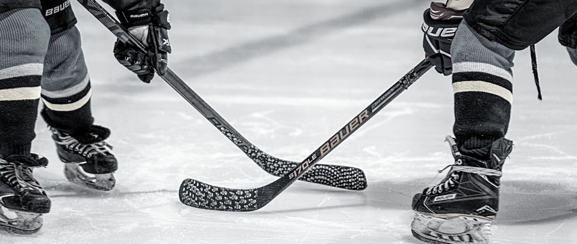 Hockey near me ★ Find top local contractors & taskers in ...