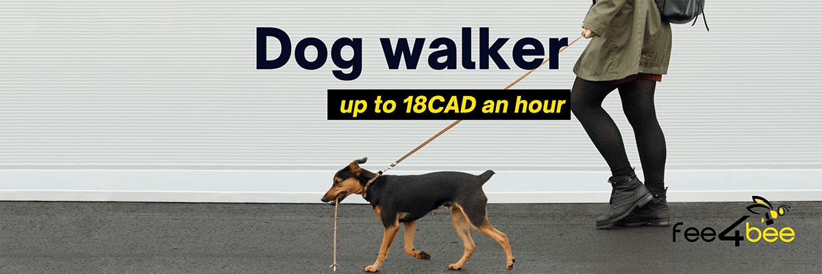 dog walker jobs